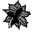 Type 1 Diabetes tattoo design idea