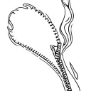 realistic heat with a zipper partially open tattoo design idea