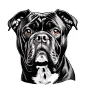 Cane Corso tattoo design idea