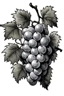 Grape Vine tattoo design idea