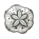 sand dollar tattoo design idea