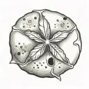 sand dollar tattoo design idea