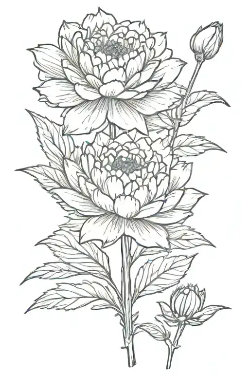 carnation, water lily, hawthorn, aster  tattoo design idea
