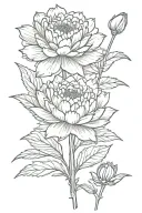 carnation, water lily, hawthorn, aster  tattoo design idea