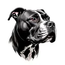 Pitbulls discipline of war versus tattoo design idea