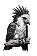 Harpy Eagle tattoo design idea