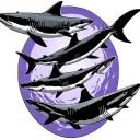 five mako sharks swimming in a circle with a lavender border  tattoo design idea