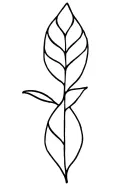 Taro Leaf tattoo design idea