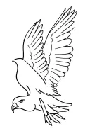 Wedgetail eagle tattoo design idea