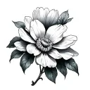 Anemone tattoo design idea