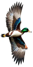 duck flying tattoo design idea