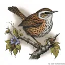 wren bird perched tattoo design idea