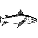 barracuda facing down and left side tattoo design idea