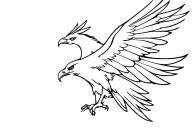 Aggressive flying hawk silhouette with open wings from side view without fur and face content tattoo design idea