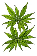 420 weed leaves morphing tattoo design idea