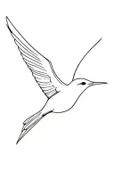 swallow bird soaring tattoo design idea
