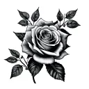 Jayden with roses tattoo design idea