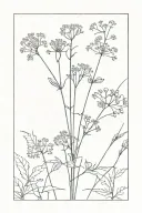 Cow Parsley tattoo design idea
