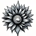 Camino Shell tattoo design idea