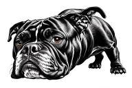 American bully xl bully tattoo design idea