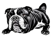 American bully xl bully tattoo design idea