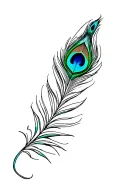 Colourful peacock feather attached tattoo design idea