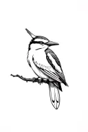 Kookaburra tattoo design idea