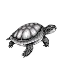 Turtle dotwork illustration tattoo design idea