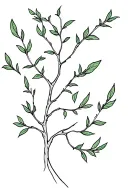 fig tree and vine tattoo design idea