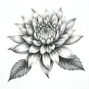 crysanthemum flower tattoo design idea