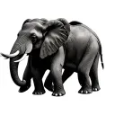 3 elephants tattoo design idea