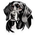coonhound tattoo design idea