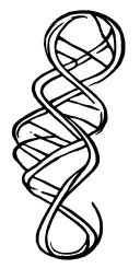 dna helix tattoo design idea
