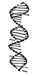 dna helix tattoo design idea