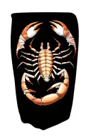 Scorpio and Tribal Patterns tattoo design idea