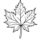 maple leaf and cornicello pepper tattoo design idea
