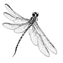 dragonfly with kintsugi wings tattoo design idea