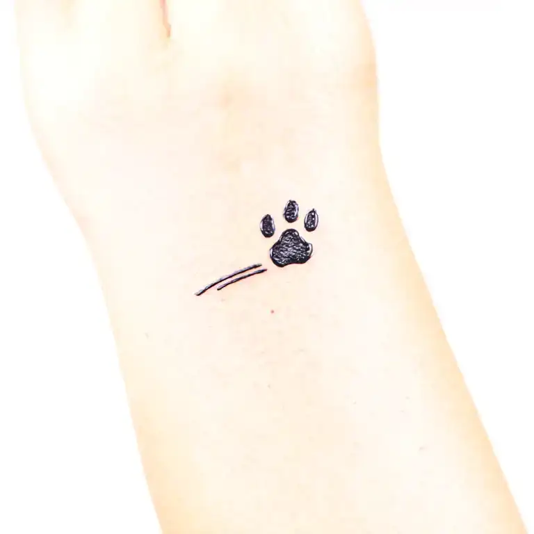 A very small and fine line tattoo in a minimalistic style, related to cats — like a paw or a minimal cat.  tattoo design idea