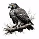 Red Tailed Hawk tattoo design idea