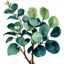 Eucalyptus with long leaves of watercolor tattoo design idea