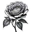 Ranunculus tattoo design idea