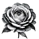 Ranunculus tattoo design idea