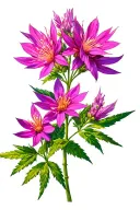 Fireweed in the sun tattoo design idea