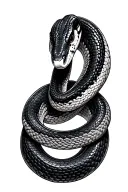 black thin snake coiled python tattoo design idea