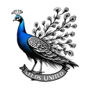 Leeds United Peacock tattoo design idea