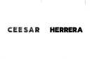 "Cesar Herrera, 12-02-2025" tattoo design idea