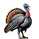 Turkey tattoo design idea