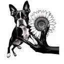 half a sunflower with  boston terrier jumping into a womans hand black and white  tattoo design idea
