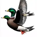 flying ducks tattoo design idea