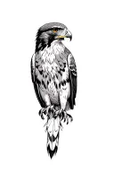 realistic red tailed hawk  tattoo design idea